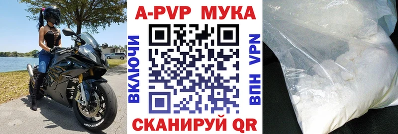 A-PVP СК КРИС  Ачхой-Мартан 