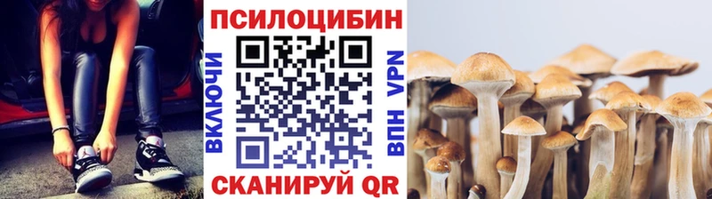 Галлюциногенные грибы Cubensis  Ачхой-Мартан 